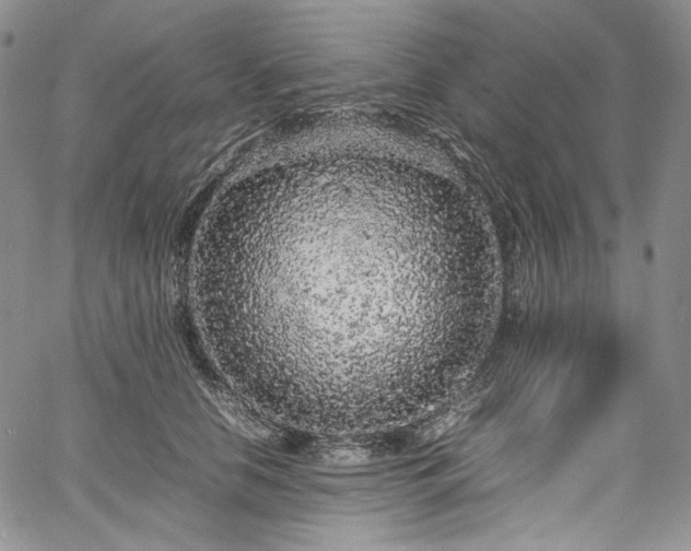 X0000061760658200512021511