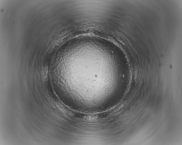 X0000061760660200512021511