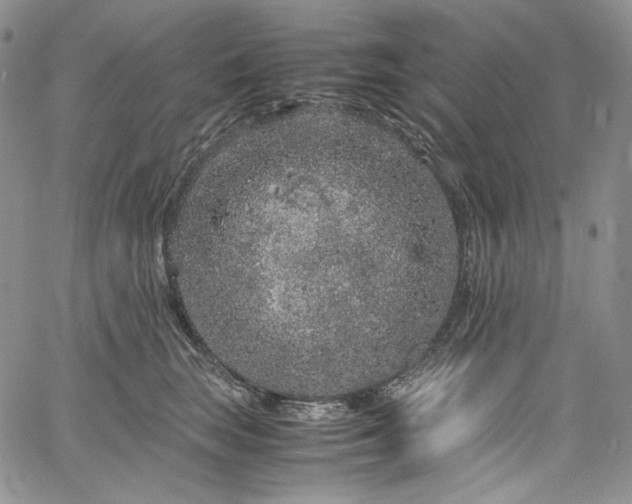 X0000061760663200512021511