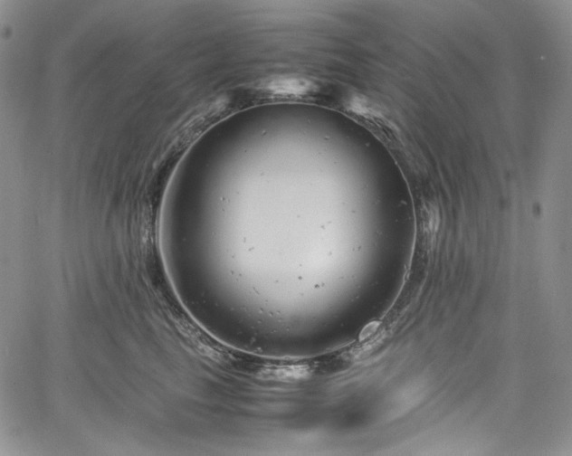 X0000061760665200512021511