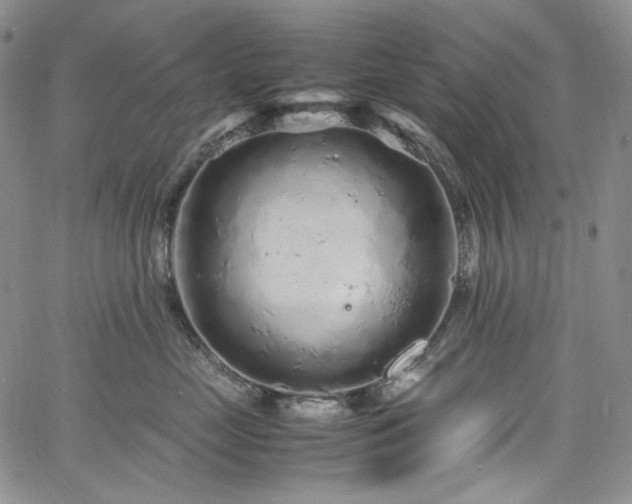 X0000061760669200512021511
