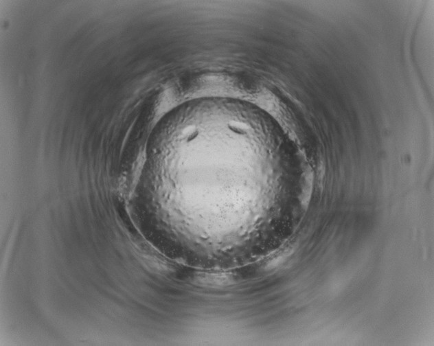 X0000061760671200512021511