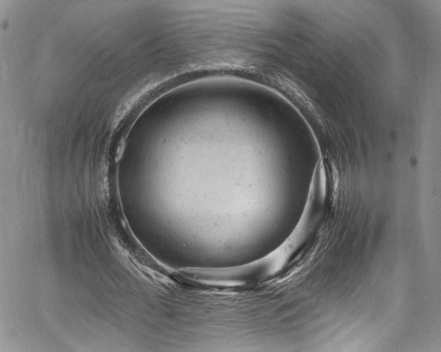 X0000061760676200512021510