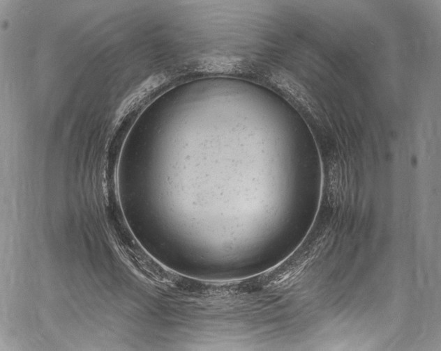 X0000061760682200512021510