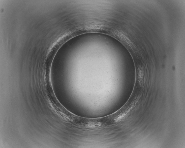 X0000061760684200512021510