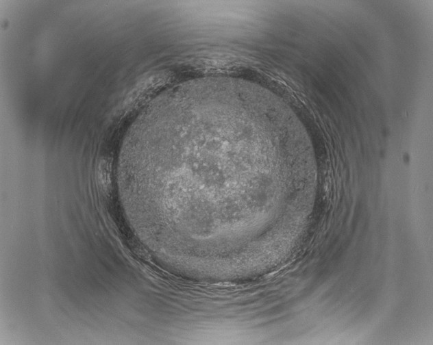 X0000061760695200512021510