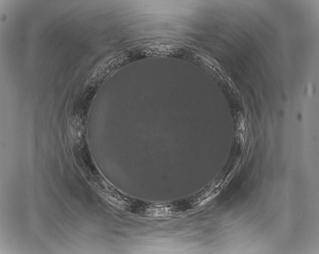 X0000061760701200512021510