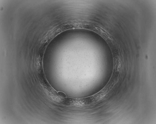 X0000061760702200512021510