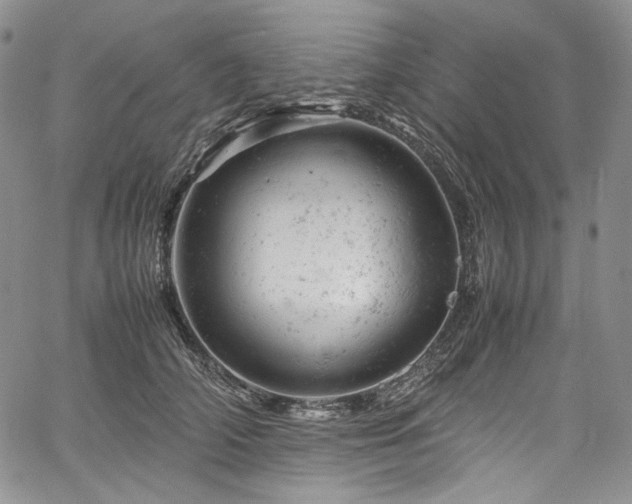 X0000061760706200512021510
