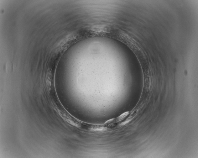 X0000061760710200512021510