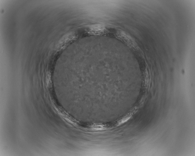 X0000061760711200512021510