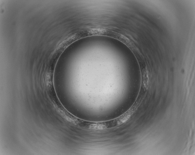X0000061760714200512021510