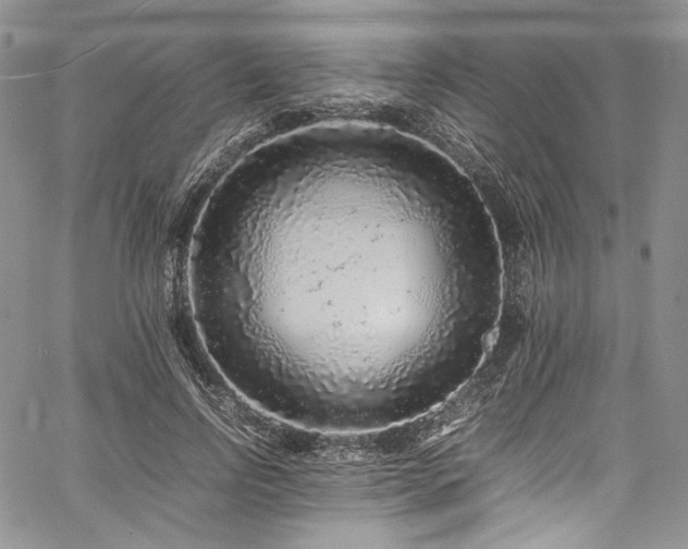 X0000061760742200512021509