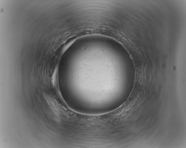 X0000061760770200512021509