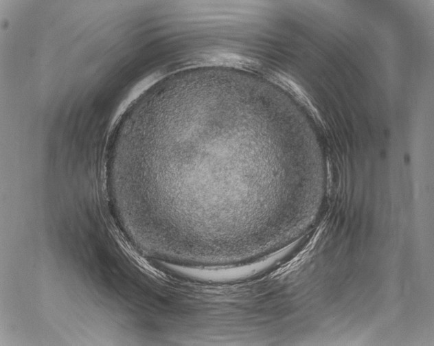 X0000061760780200512021509