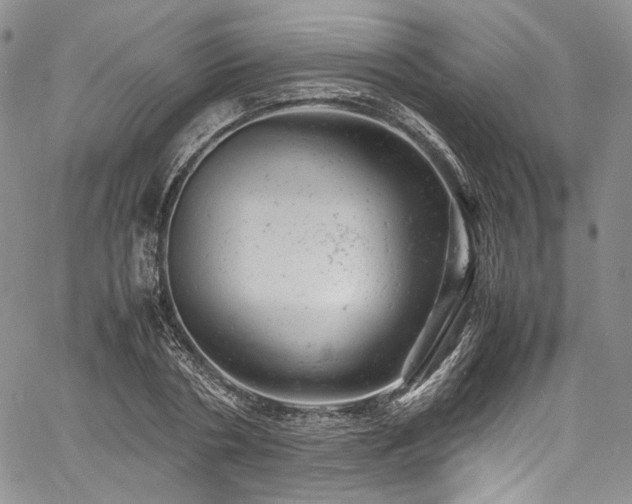 X0000061760786200512021508