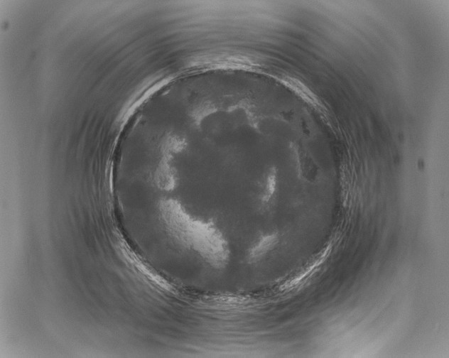 X0000061760790200512021508