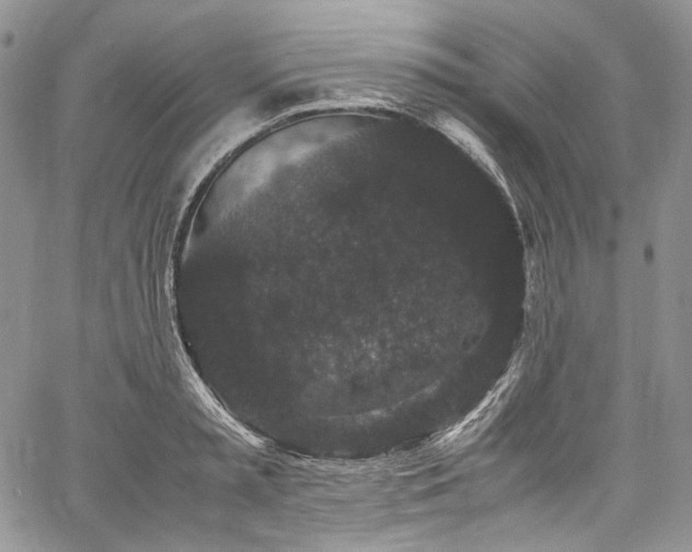X0000061760797200512021508