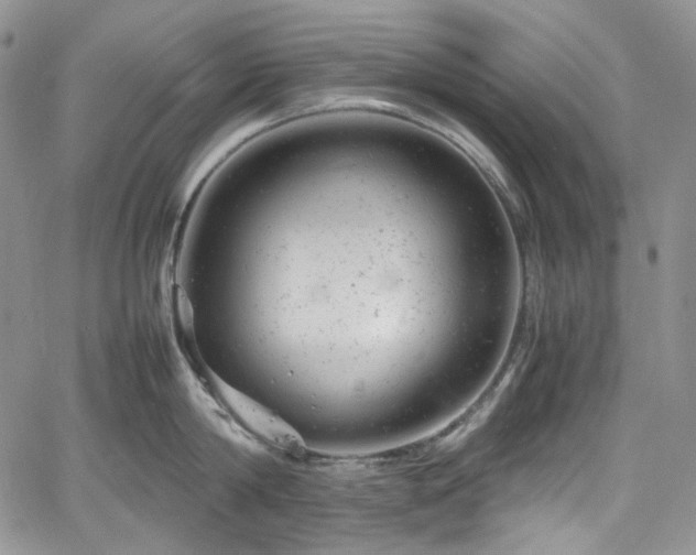 X0000061760814200512021508
