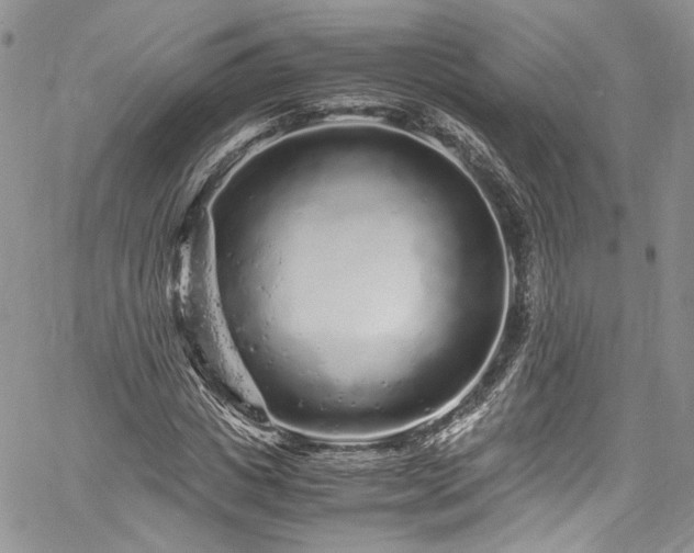 X0000061760825200512021507