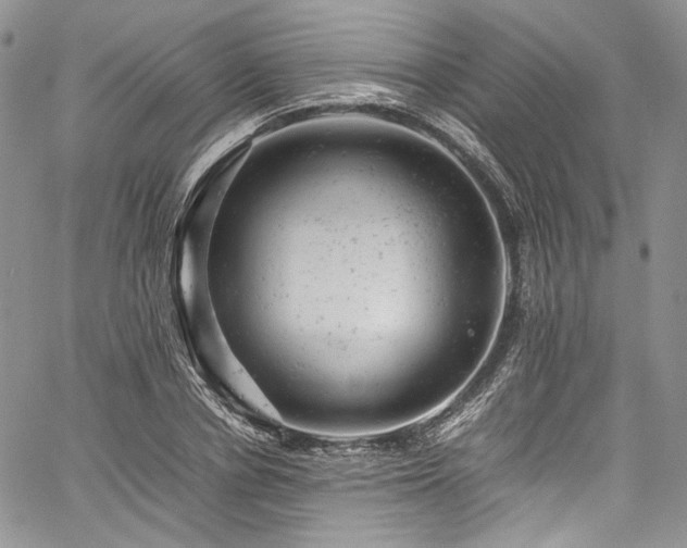 X0000061760834200512021507