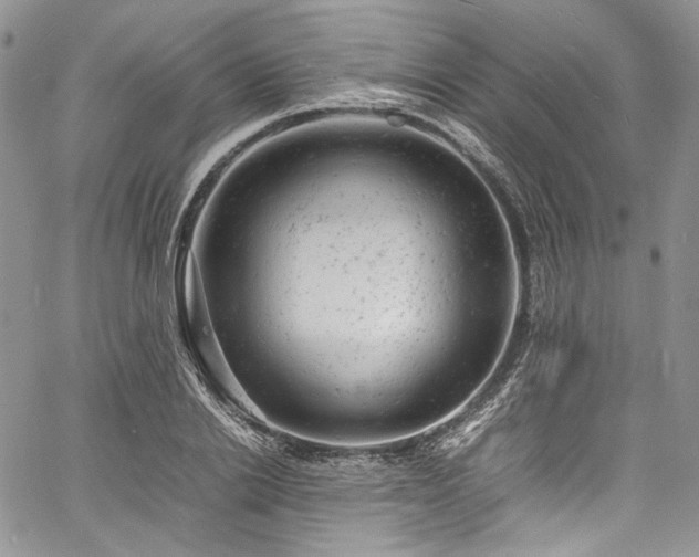 X0000061760838200512021507