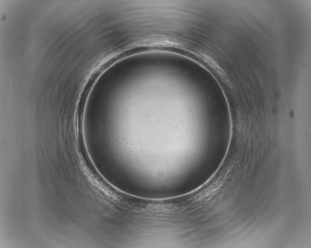 X0000061760840200512021508