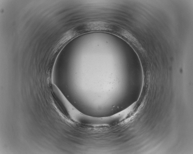 X0000061760841200512021508