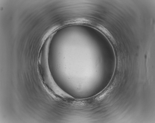 X0000061760850200512021508