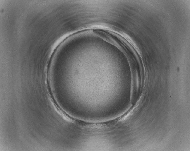 X0000061760862200512021508
