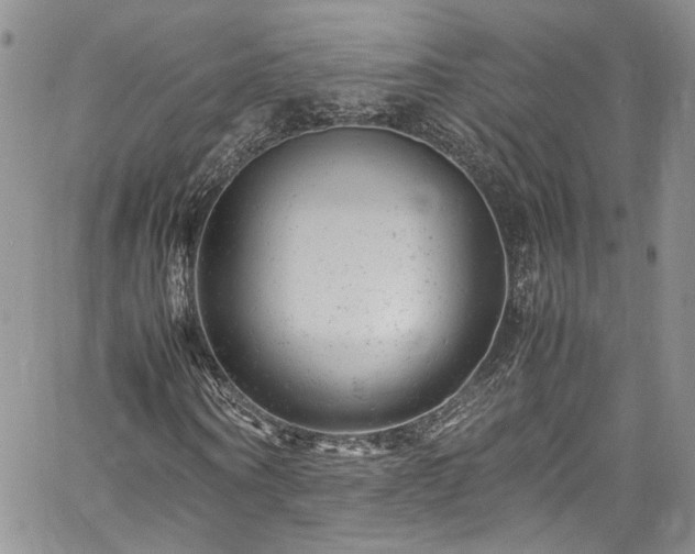 X0000061760866200512021507
