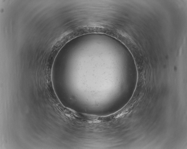 X0000061760870200512021507