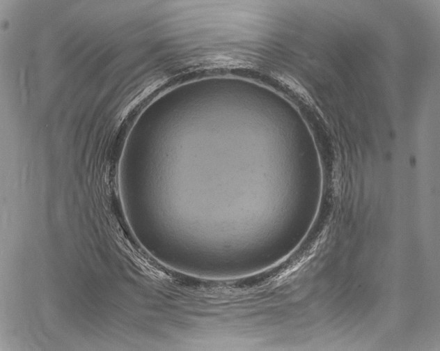 X0000061760873200512021507