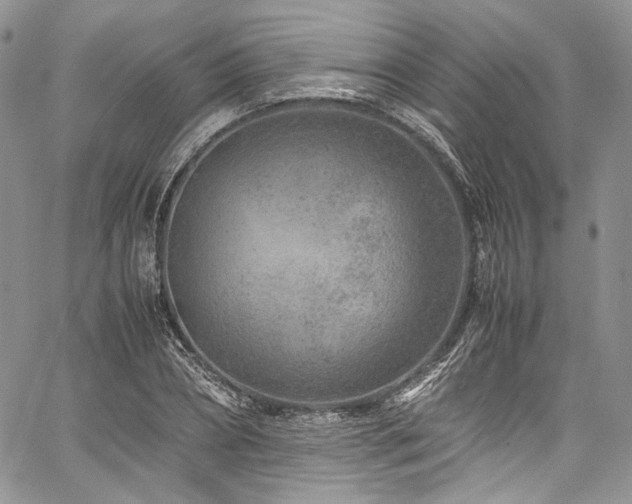 X0000061760882200512021507