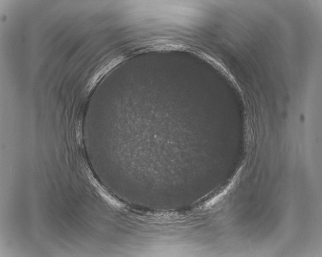 X0000061760889200512021507