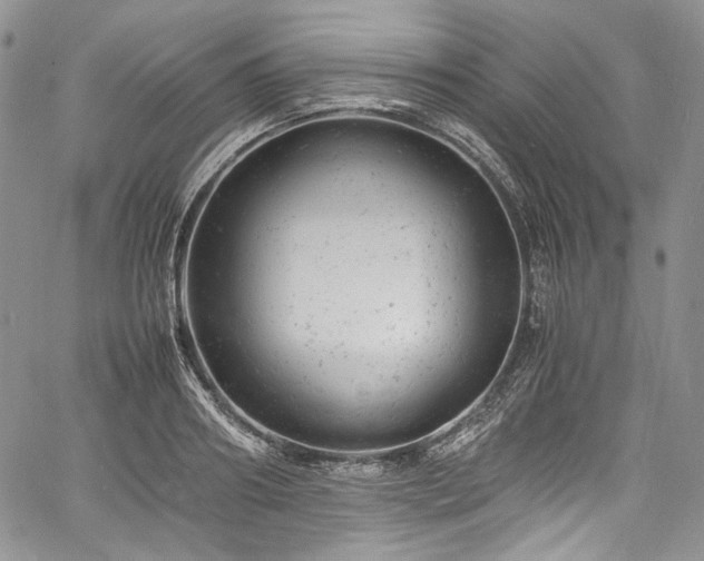 X0000061760890200512021507