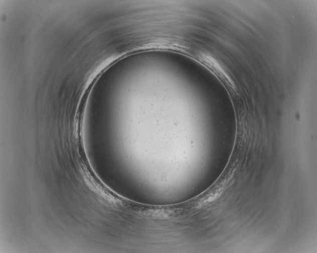 X0000061760900200512021507