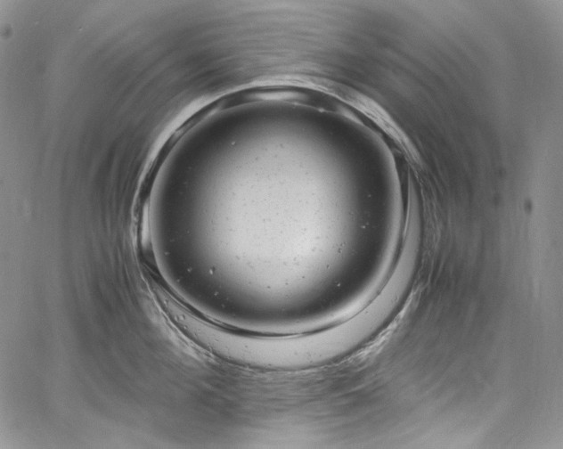 X0000061760908200512021506