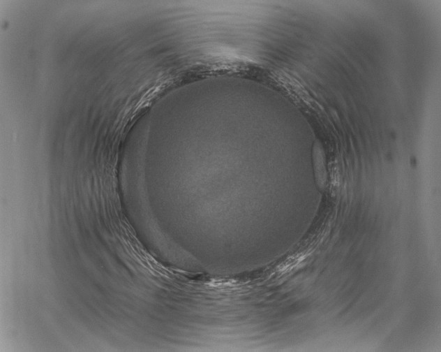 X0000061760916200512021506