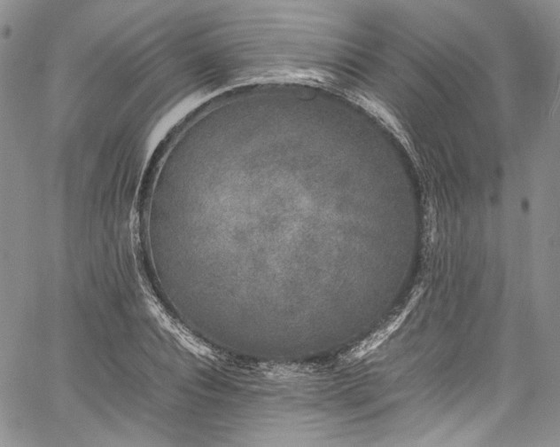 X0000061760928200512021506