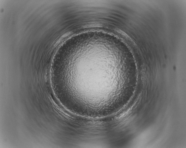 X0000061760929200512021506