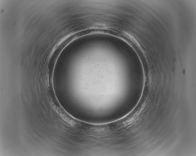 X0000061760931200512021506