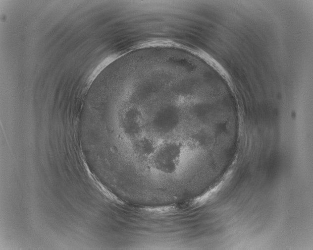 X0000061760953200512021506