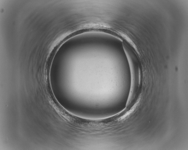 X0000061760981200512021505