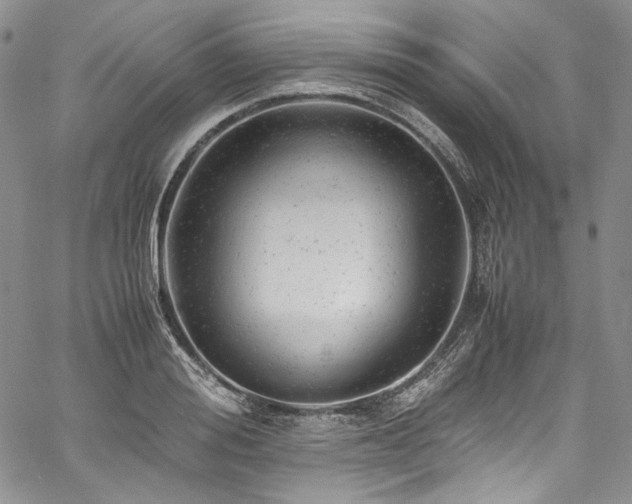 X0000061760988200512021505