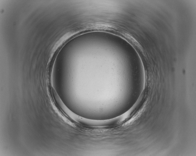 X0000061760989200512021505