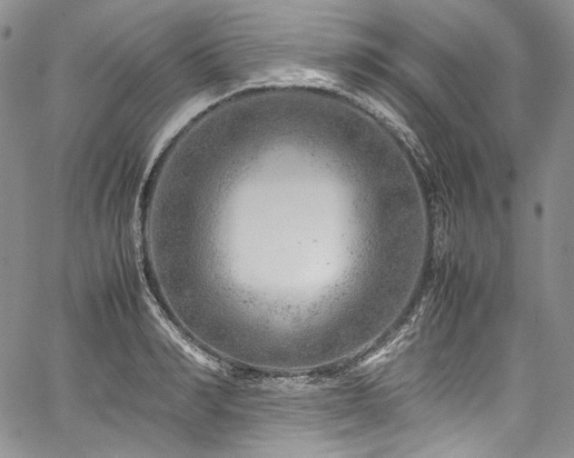 X0000061760990200512021505