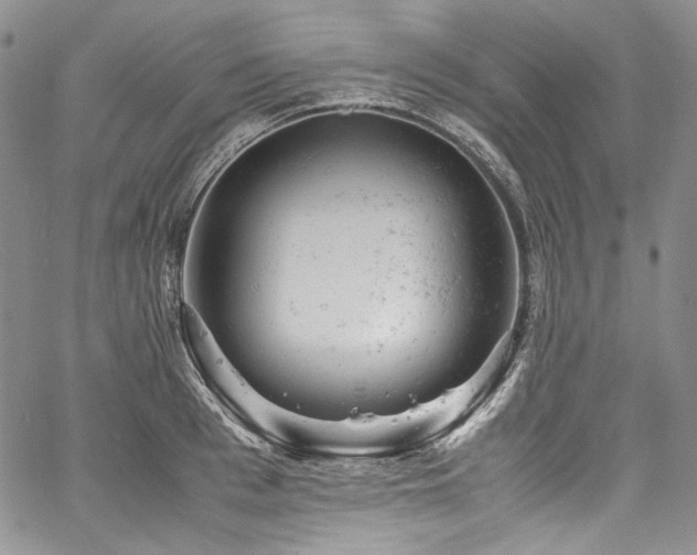 X0000061760993200512021505