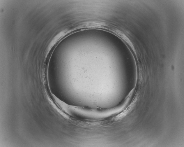 X0000061760997200512021505