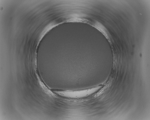 X0000061761000200512021505